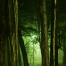 0653b0439dcf4d60ec7cace9ff0419a8_s