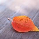 df369442594a899c5320098f1fb97a2c_s