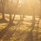 b4d481d38ca63e8cb70cb64118b3801f_s