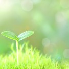 8e30fb1535e71794437d02d8381cb8ae_s