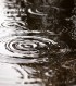 ４７都道府県民特集「石川県人編」～年間降水日数日本一の雨の日のココロを検証！～