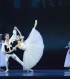 ポーランドで活躍する日本人ダンサー海老原由佳さんに聞く、バレエとピラティスの親密な関係（前編）